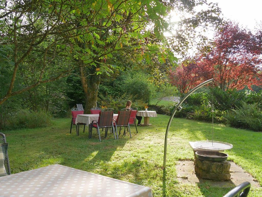 Irreler Muehle Ferienwohnungen Und Ferienhaeuser Exterior foto