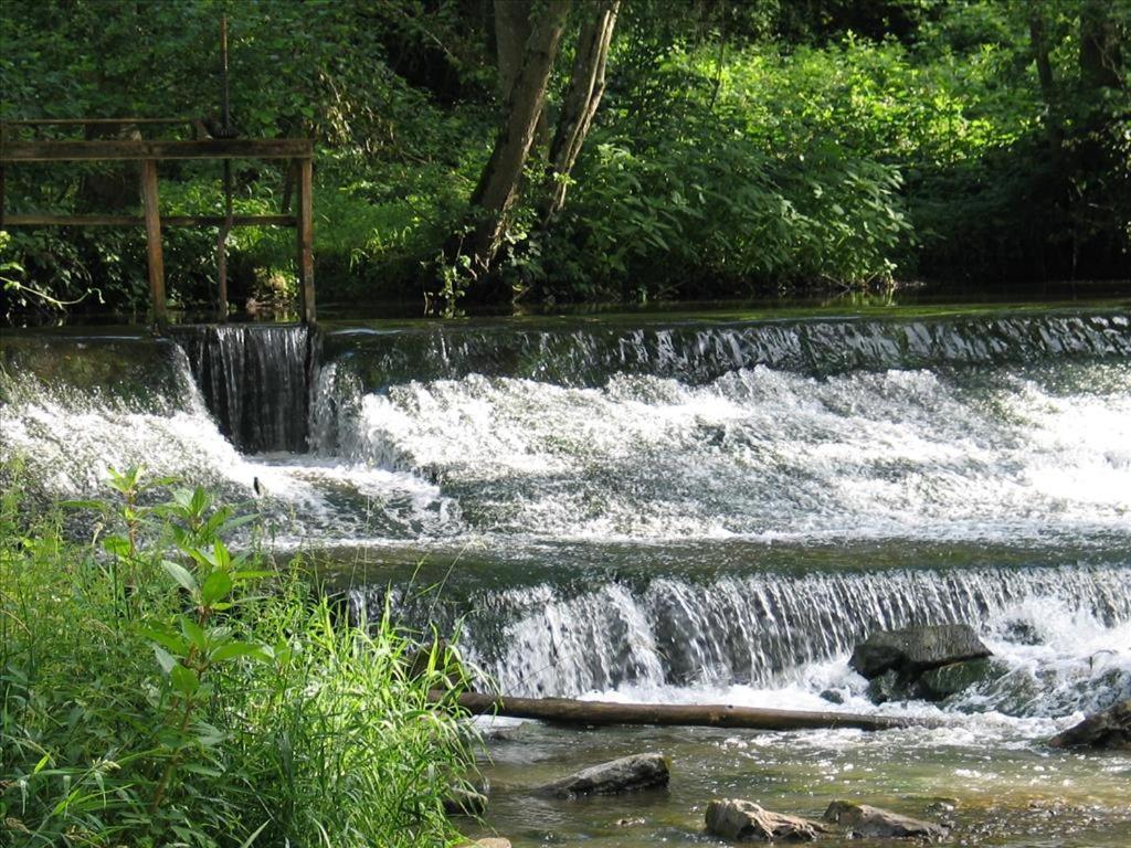 Irreler Muehle Ferienwohnungen Und Ferienhaeuser Exterior foto