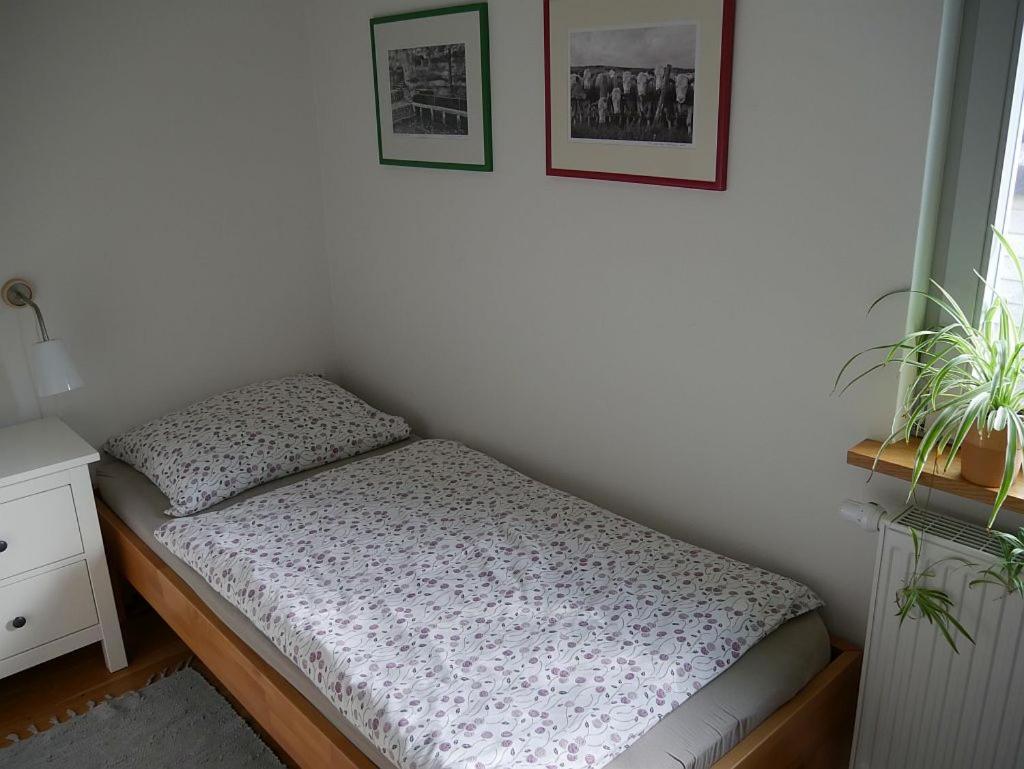 Irreler Muehle Ferienwohnungen Und Ferienhaeuser Exterior foto